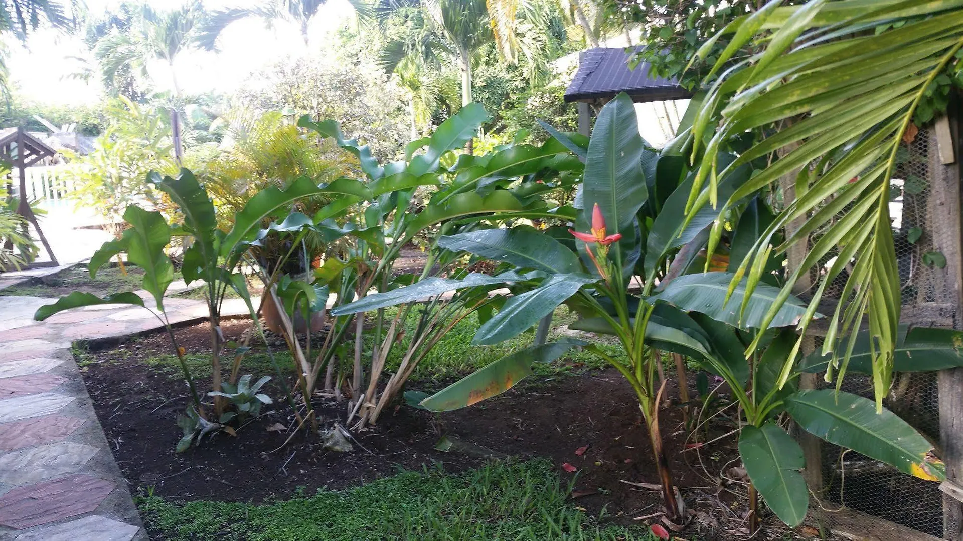 Hotel La Sainterosienne Guadeloupe